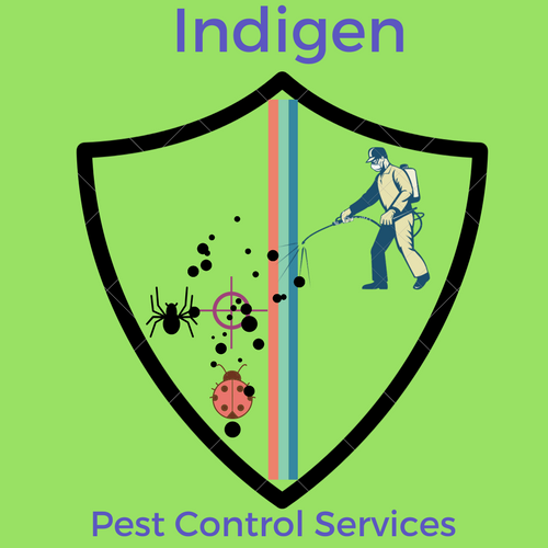 Indigen Pest